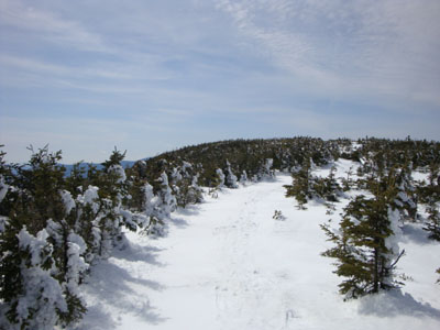 The Kinsman Ridge Trail near the south peak of Mt. Kinsman