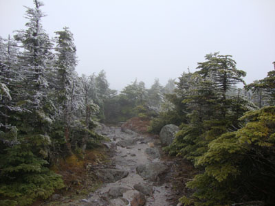 The Kinsman Ridge Trail between the Kinsmans