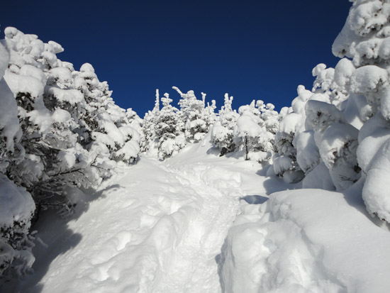 The Kinsman Ridge Trail between the Kinsmans