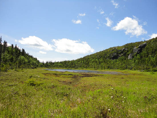 Harrington Pond