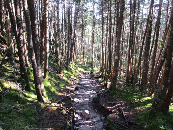 The Kinsman Ridge Trail between the Kinsmans