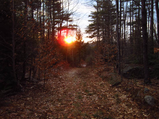 Looking down the old logging road to Ladd Mountain