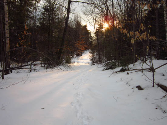 Looking down the old logging road to Ladd Mountain