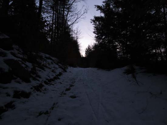 Looking up the old logging road to Ladd Mountain