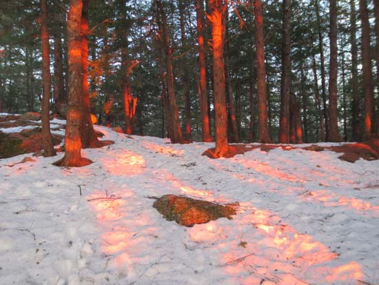 The top of the trail to Ladd Mountain just after sunrise