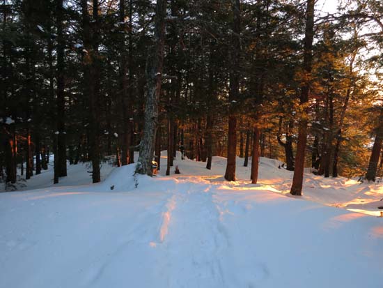 The trail near the summit vista on Ladd Mountain