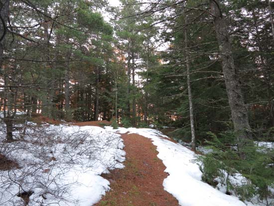 The trail near the summit vista on Ladd Mountain
