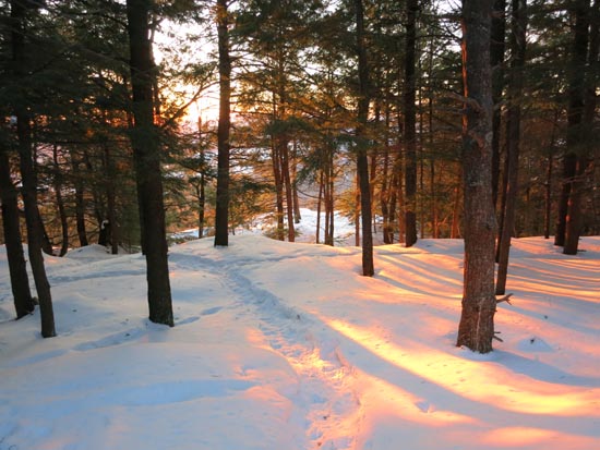 The trail near the summit of Ladd Mountain