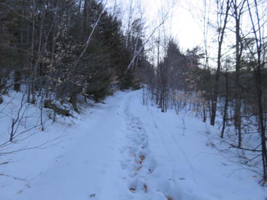 The postholed trail to Ladd Mountain