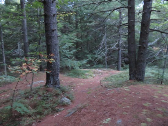The trail to Ladd Mountain