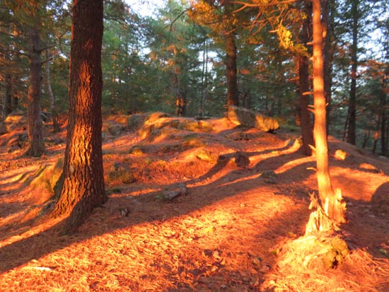 The trail to Ladd Mountain