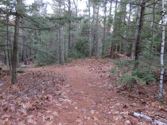 The trail to Ladd Mountain