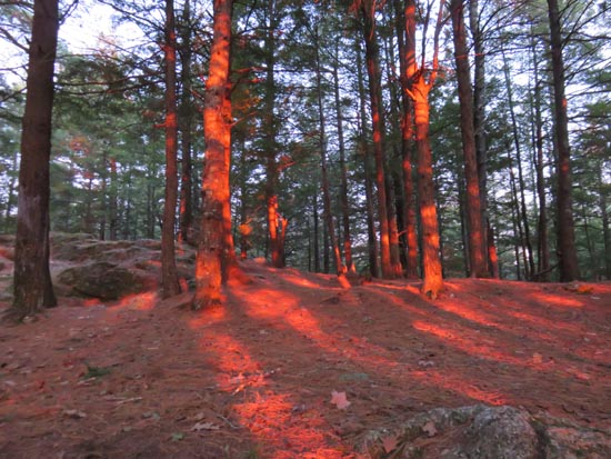 Nearing the Ladd Mountain viewpoint