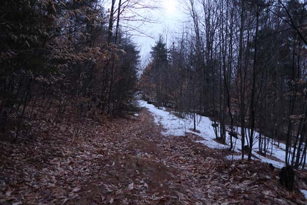 The trail to Ladd Mountain
