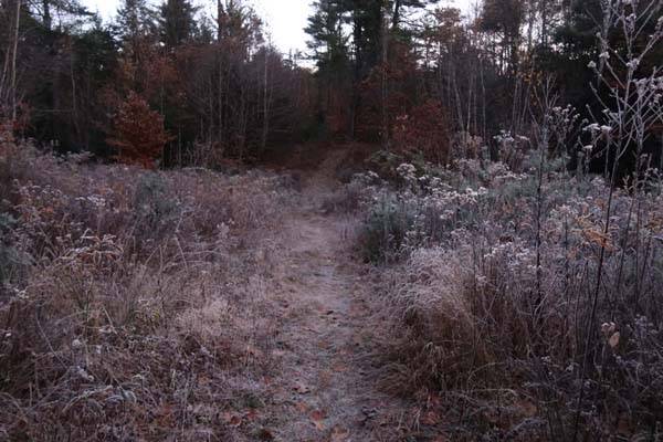 The trail to Ladd Mountain