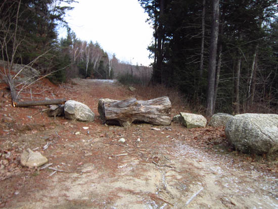 The start of the logging road off Chemung Road