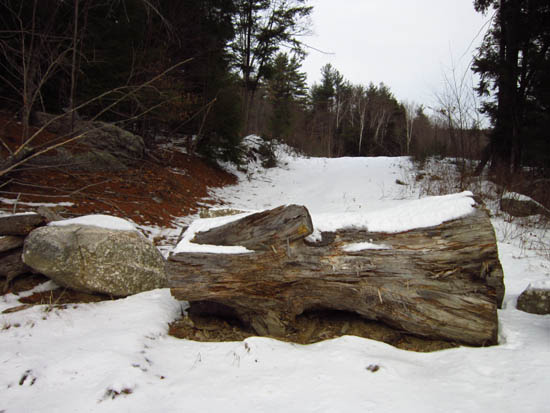 The start of the logging road off Chemung Road