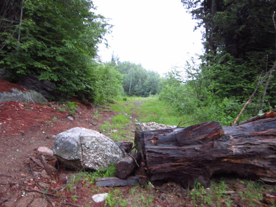 The start of the logging road off Chemung Road