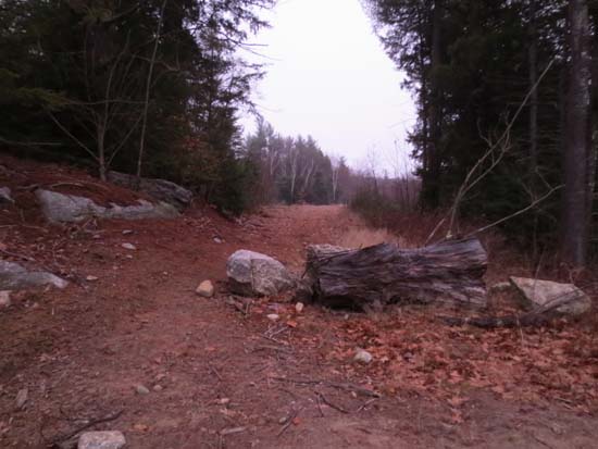 The start of the logging road off Chemung Road