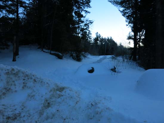 The start of the logging road off Chemung Road