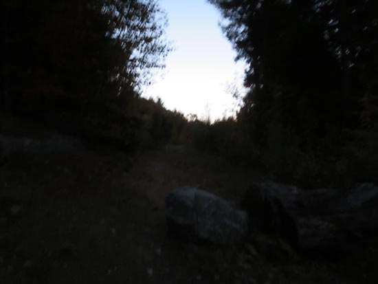 The start of the logging road off Chemung Road