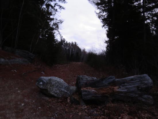 The start of the logging road off Chemung Road