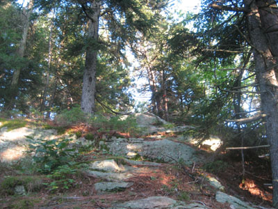 Looking up the trail near the Larcom Mountain summit