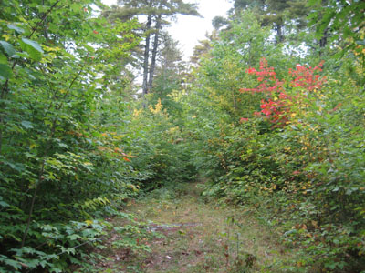 Looking up the trail to Larcom Mountain