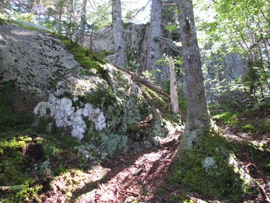 The old trail above the ski area