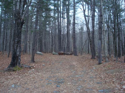 The Mt. Shaw Trail trailhead