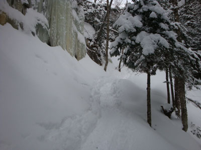 Looking up the Falling Waters Trail