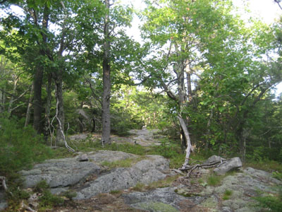 Looking up the trail to Little Larcom Mountain
