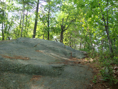 Looking up the Elwell Trail on the way to Little Sugarloaf