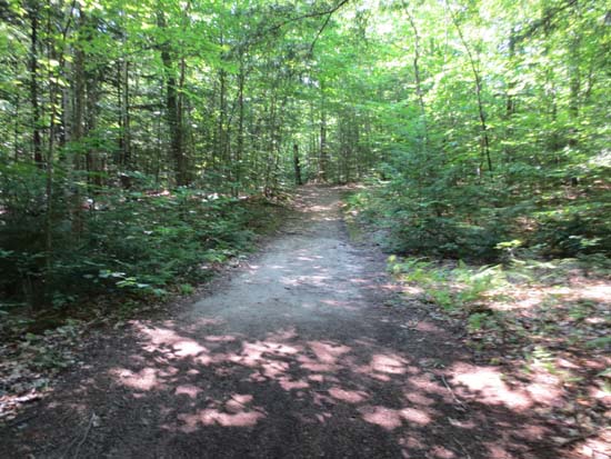 Looking up the Orange Trail on the way to Little Sugarloaf
