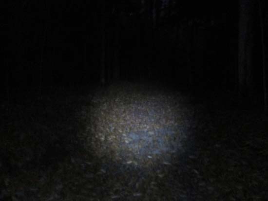 A walk in the dark to Little Sugarloaf