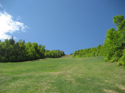 Looking up the Upper Walking Boss ski trail
