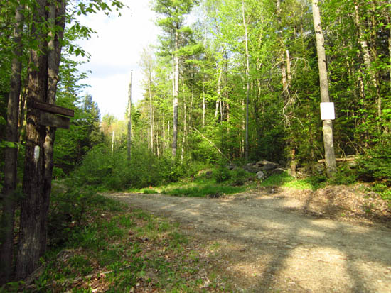 The beginning of the Lovewell Monadnock Sunapee Greenway segment