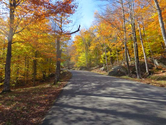 The Auto Road