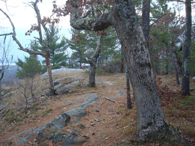 Looking down Mary's Mountain Trail