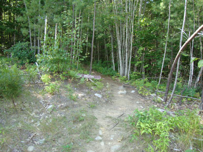 The Mary's Mountain Trail trailhead
