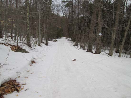 The snowmobile trail on the east side of McCoy Mountain