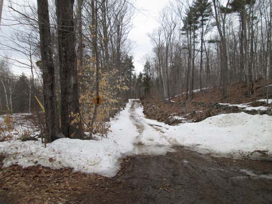 The snowmobile trail continuation of Mountain View Road, just past the Fort Mountain access road entrance