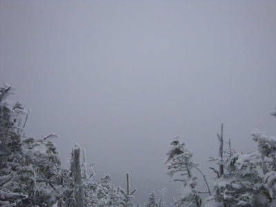 Looking into the clouds from near the Middle Carter summit - Click to enlarge