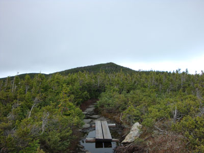 The Carter-Moriah Trail between South and Middle Carter