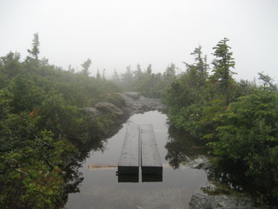 The Carter-Moriah Trail between South and Middle Carter