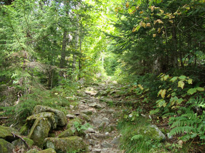 Looking up the Imp Trail on the way to Middle Carter