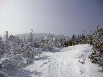 The Carter-Moriah Trail between Mt. Lethe and Middle Carter