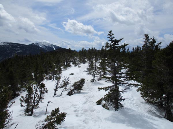 The Carter-Moriah Trail on the way to Middle Carter Mountain