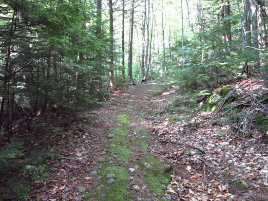 The Gates Brook Trail