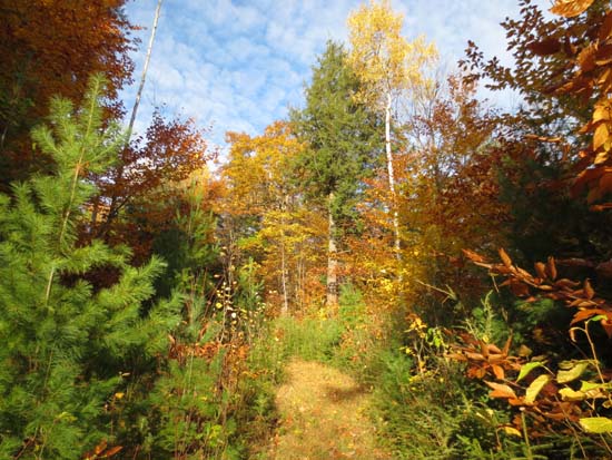 The Middle Mountain Trail